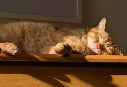 从“三天打鱼”开始，认真生活